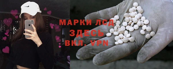 шишки Белоозёрский