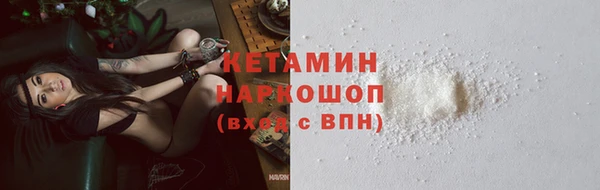 шишки Белоозёрский