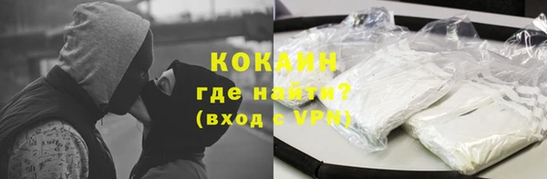 шишки Белоозёрский