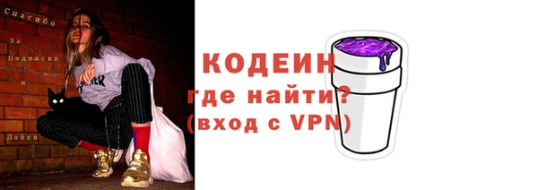 шишки Белоозёрский