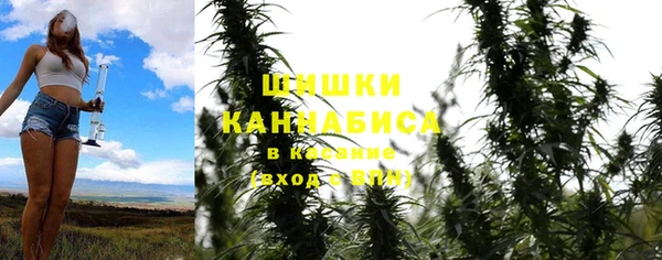 шишки Белоозёрский