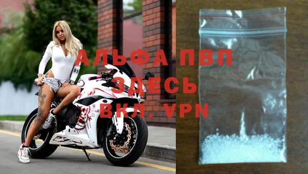 шишки Белоозёрский