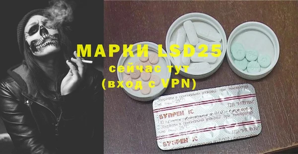 шишки Белоозёрский