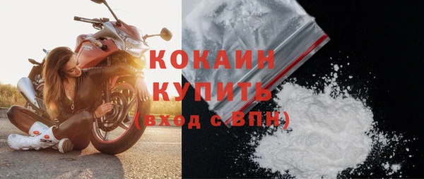 шишки Белоозёрский