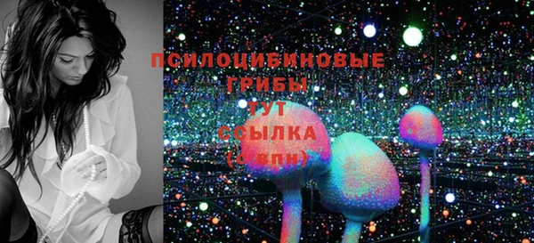 шишки Белоозёрский