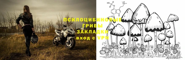соль ск Белокуриха