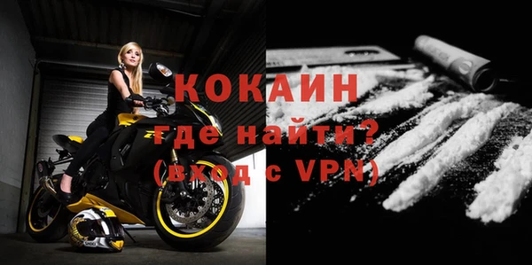 шишки Белоозёрский