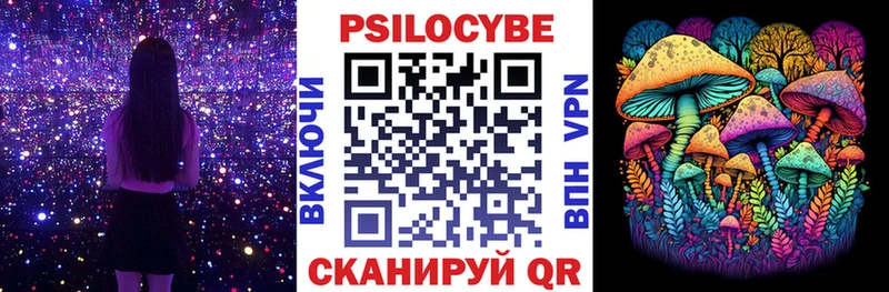 Галлюциногенные грибы Magic Shrooms  omg ССЫЛКА  Енисейск 